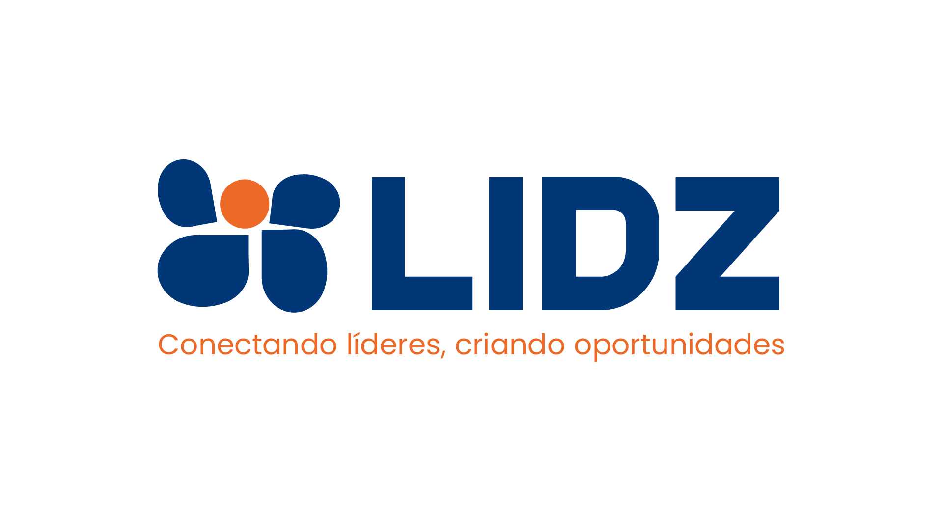 Lidz Logo